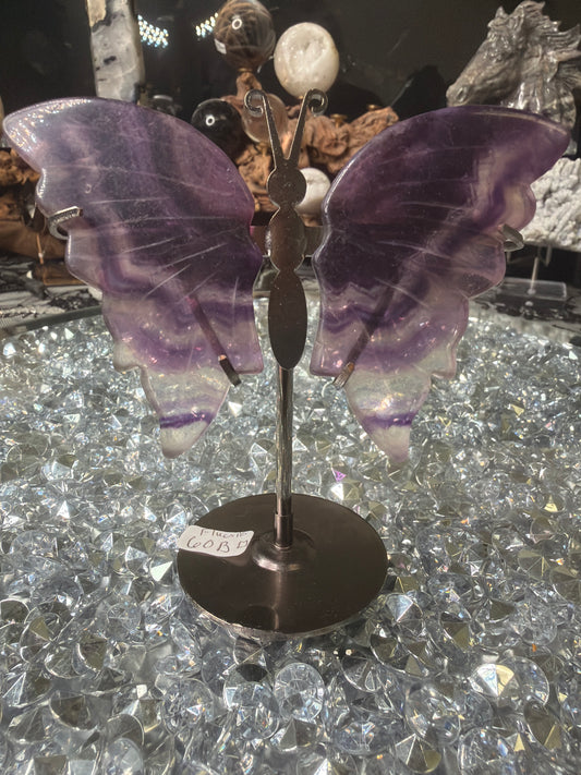 Purple Fluorite butterfly