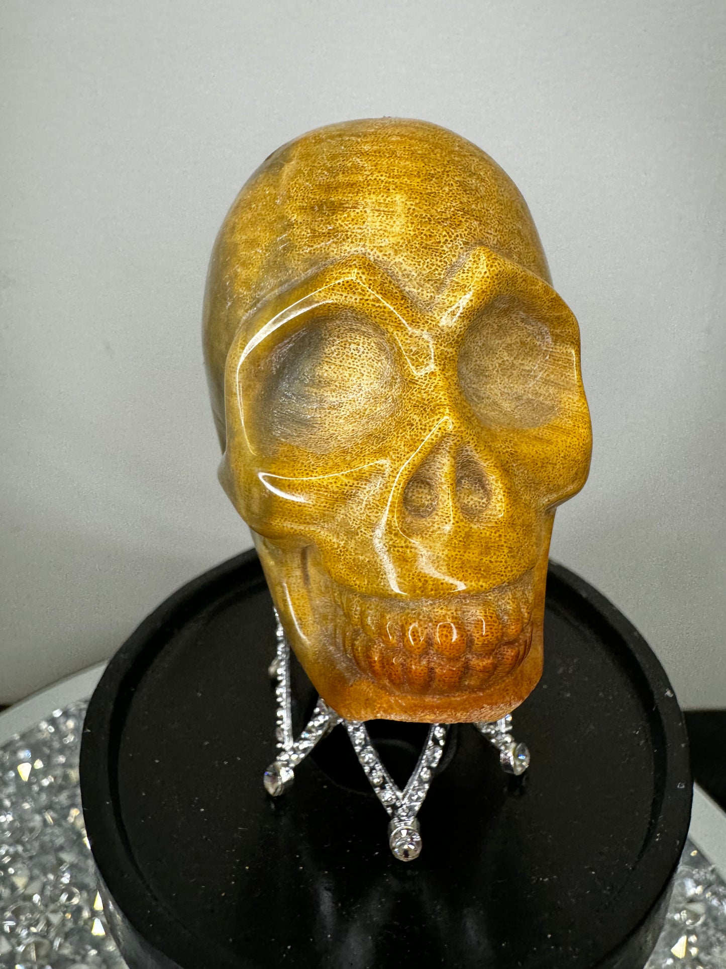 Coral skull