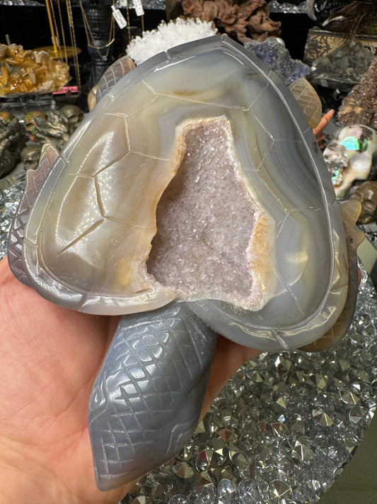 Druzy amethyst heart shell turtle