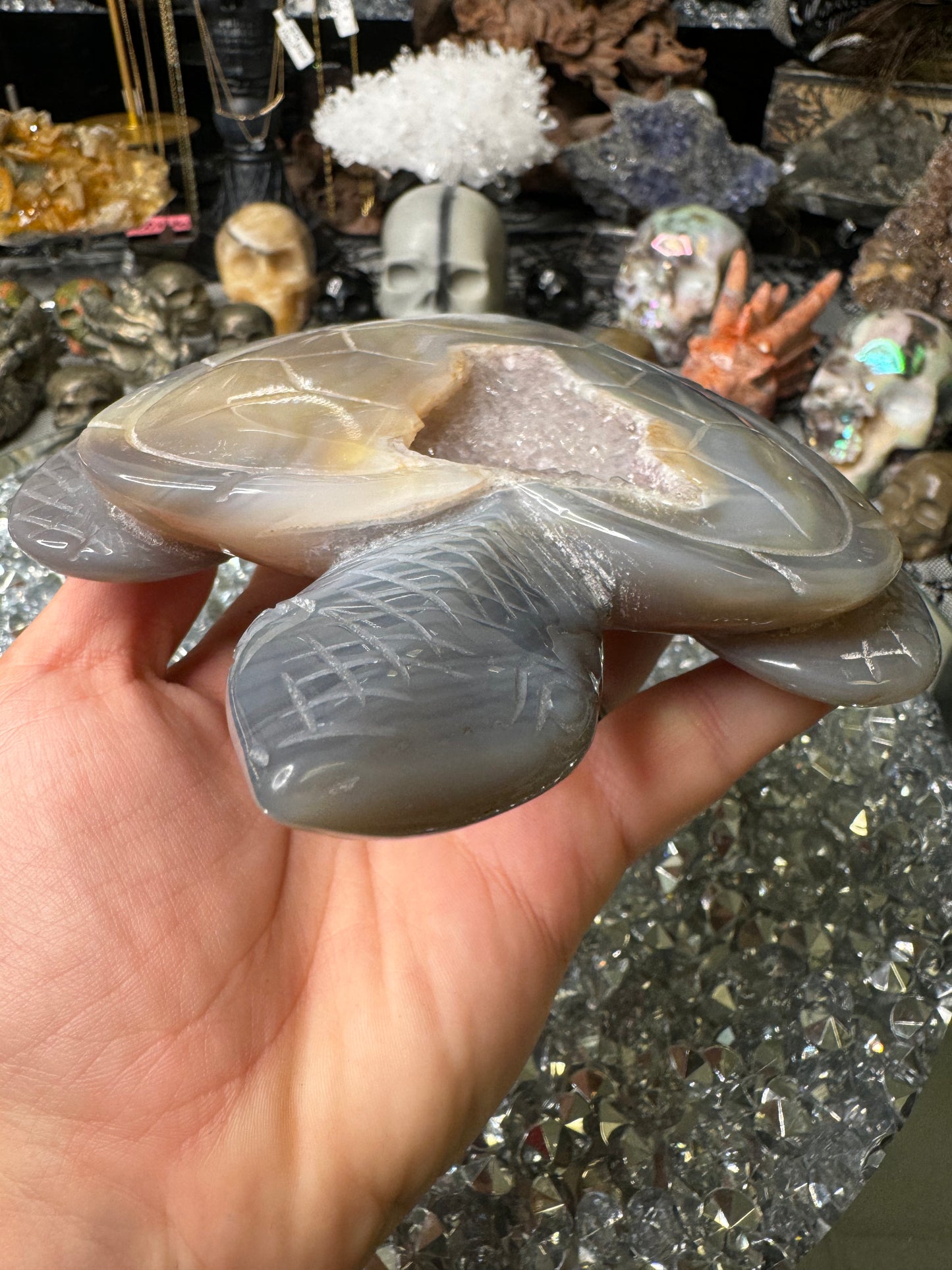 Druzy amethyst heart shell turtle