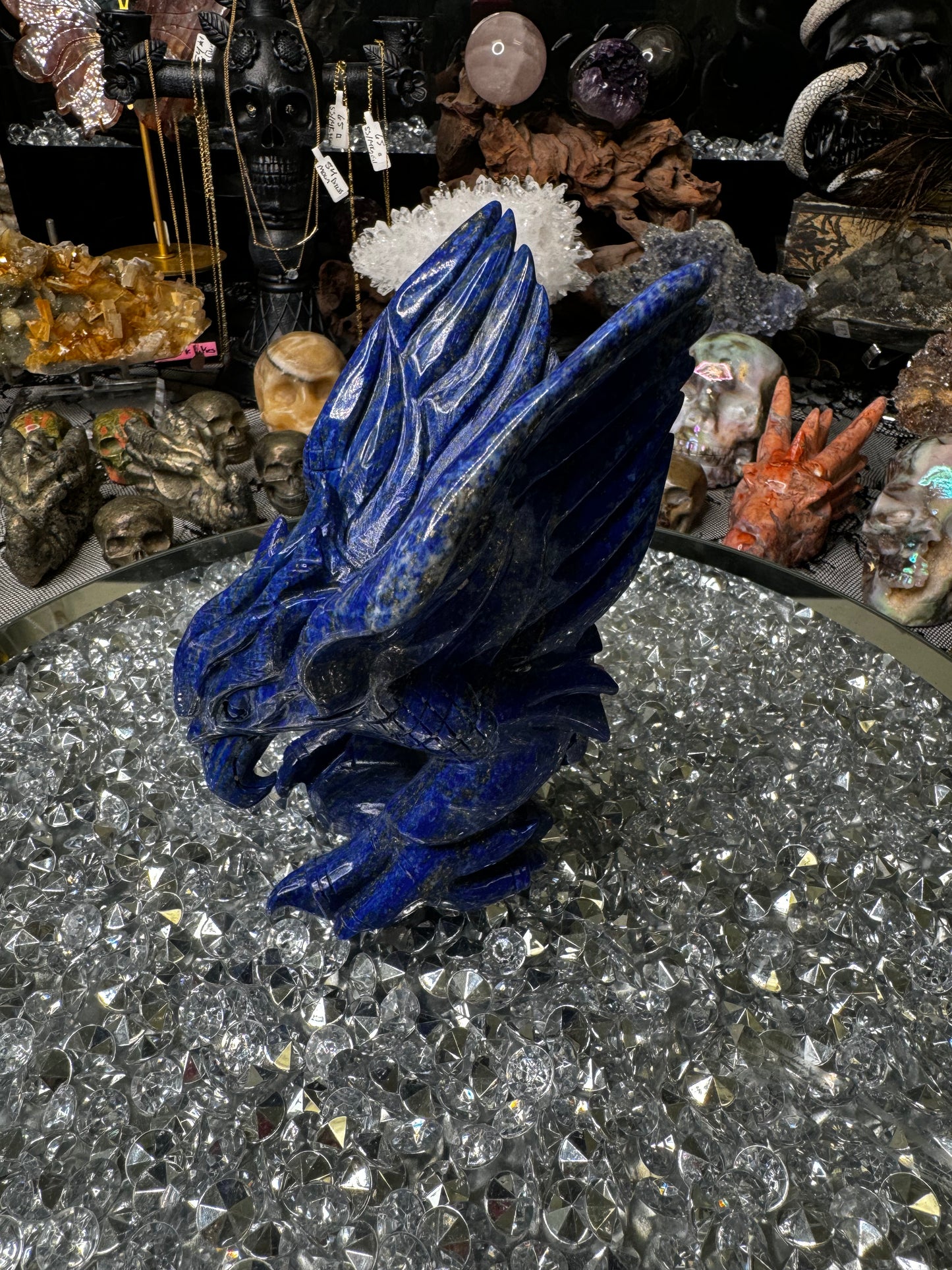 Lapis lazuli hawk