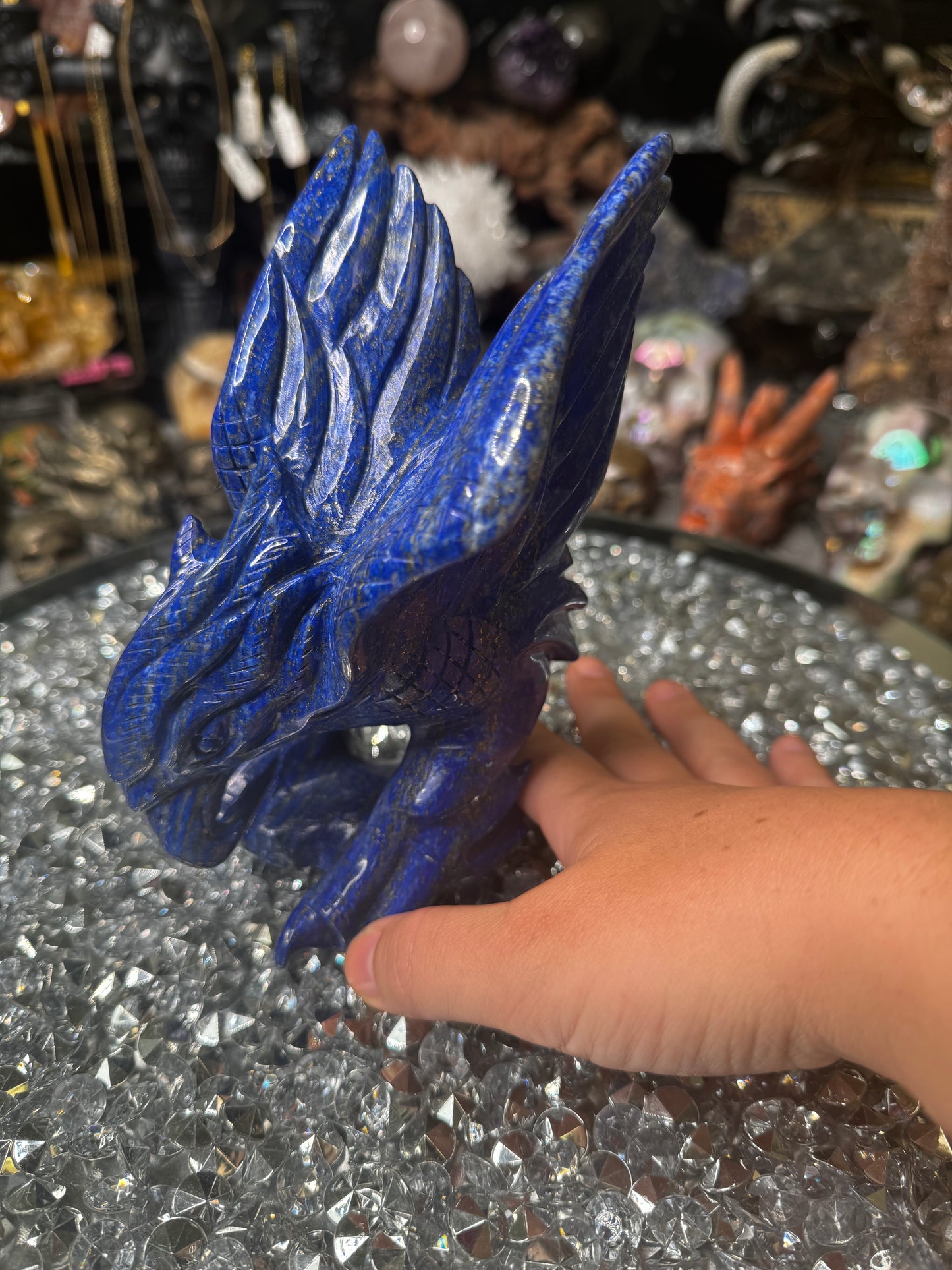 Lapis lazuli hawk