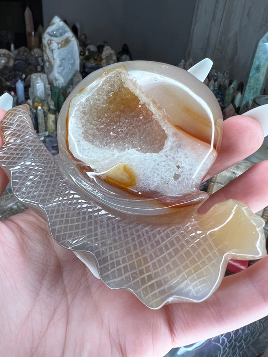 Druzy agate snail