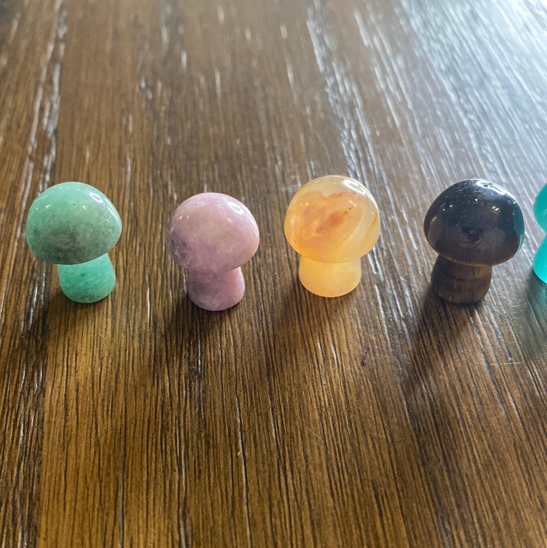 Mini mushroom( Intuitively chosen)
