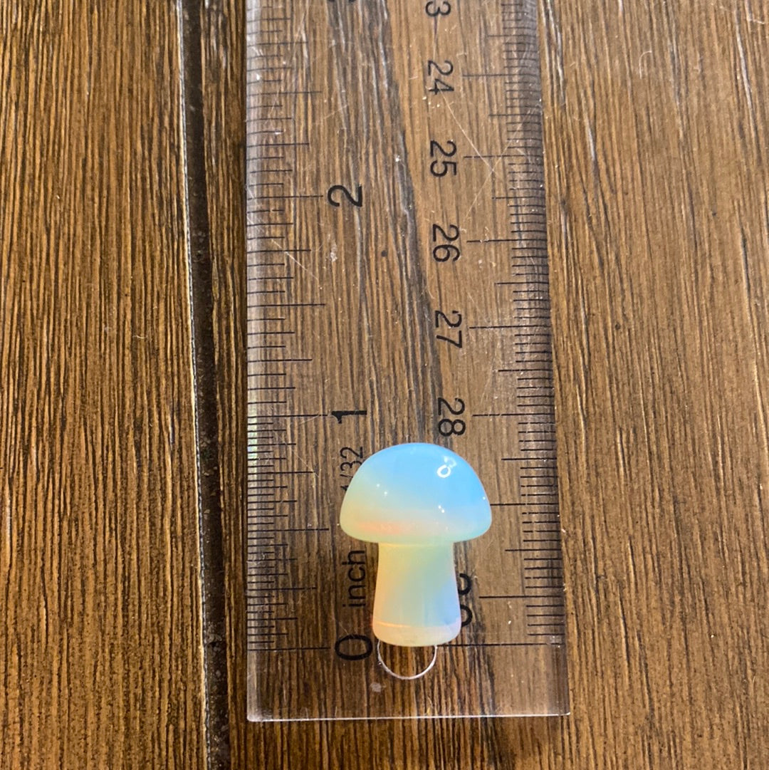 Mini mushroom( Intuitively chosen)