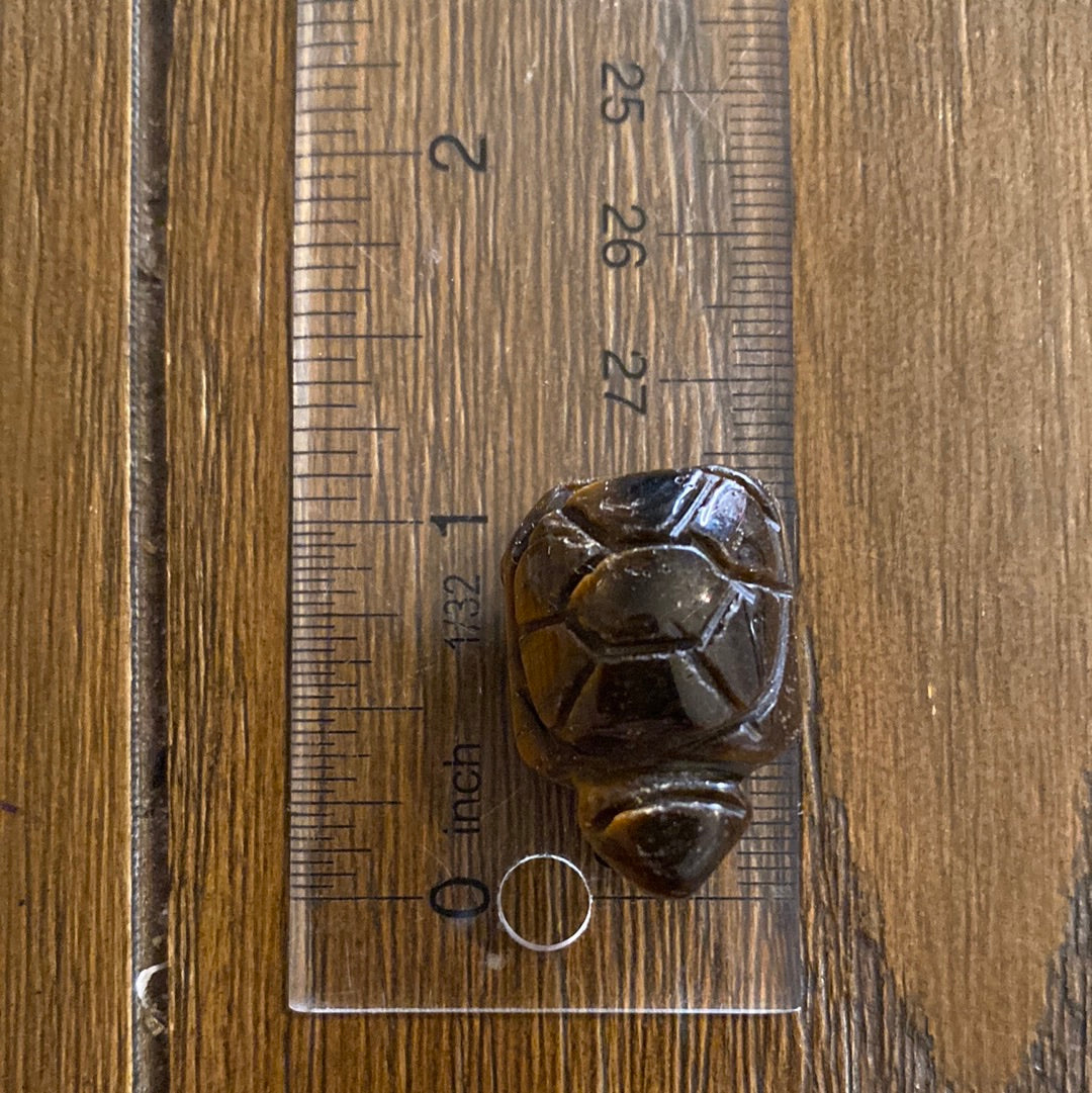 Mini Turtle(intuitively chosen material)