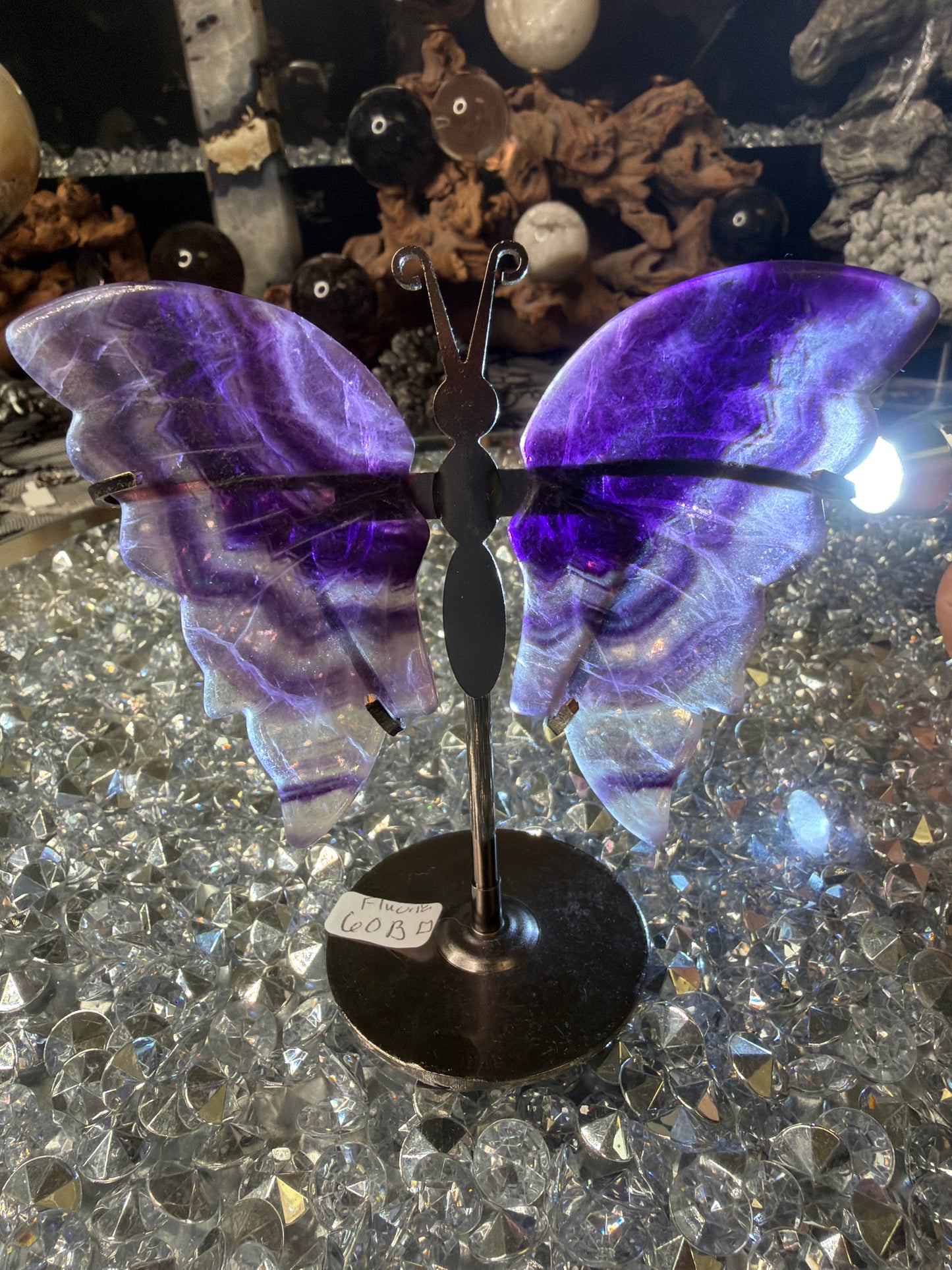 Purple Fluorite butterfly