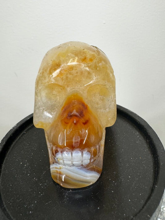 Druzy agate skull