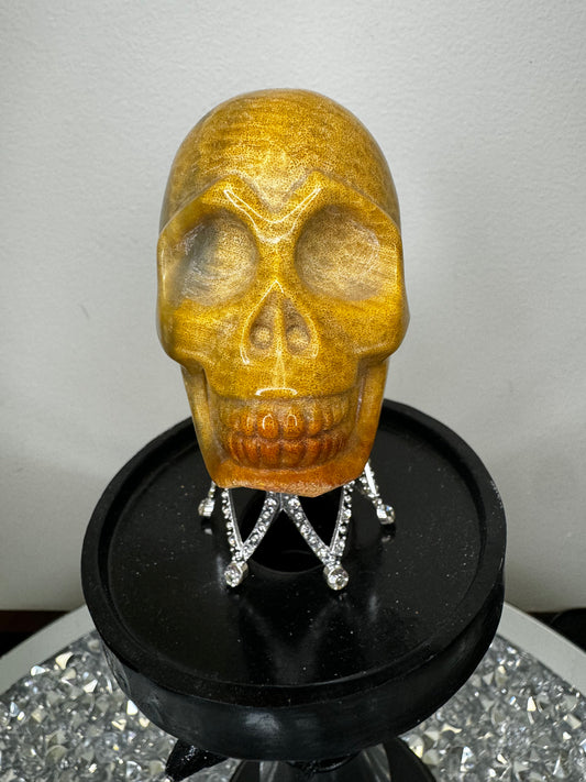 Coral skull