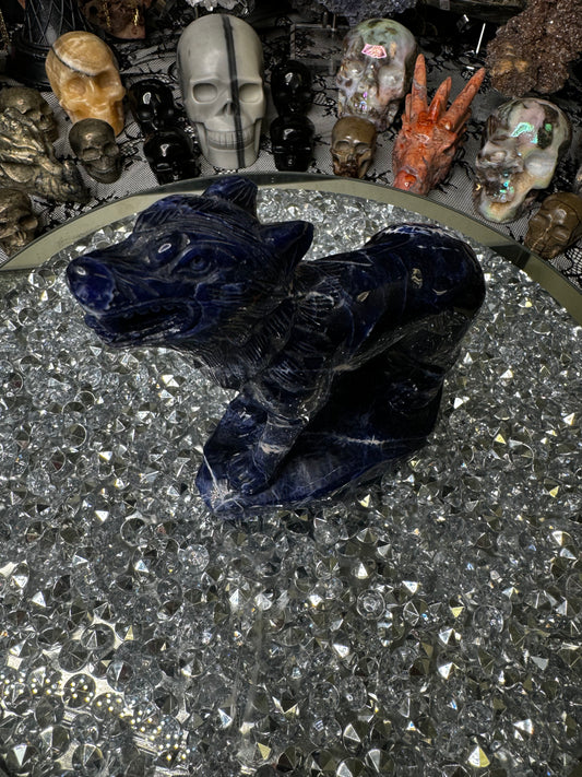 Sodalite wolf