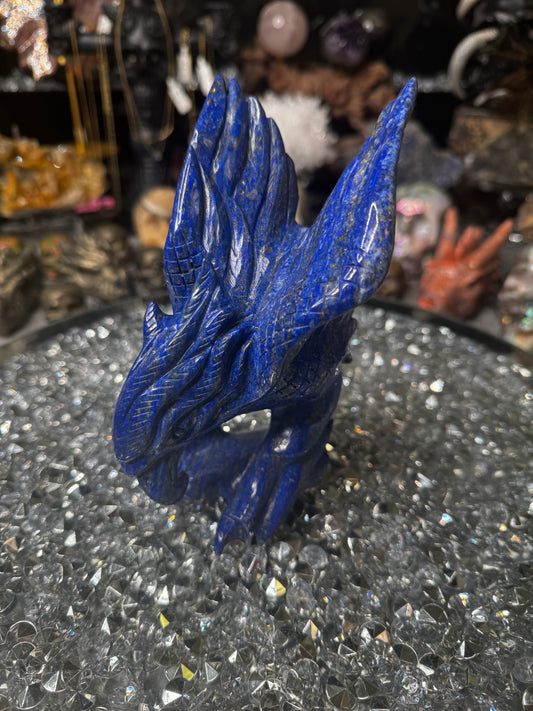 Lapis lazuli hawk
