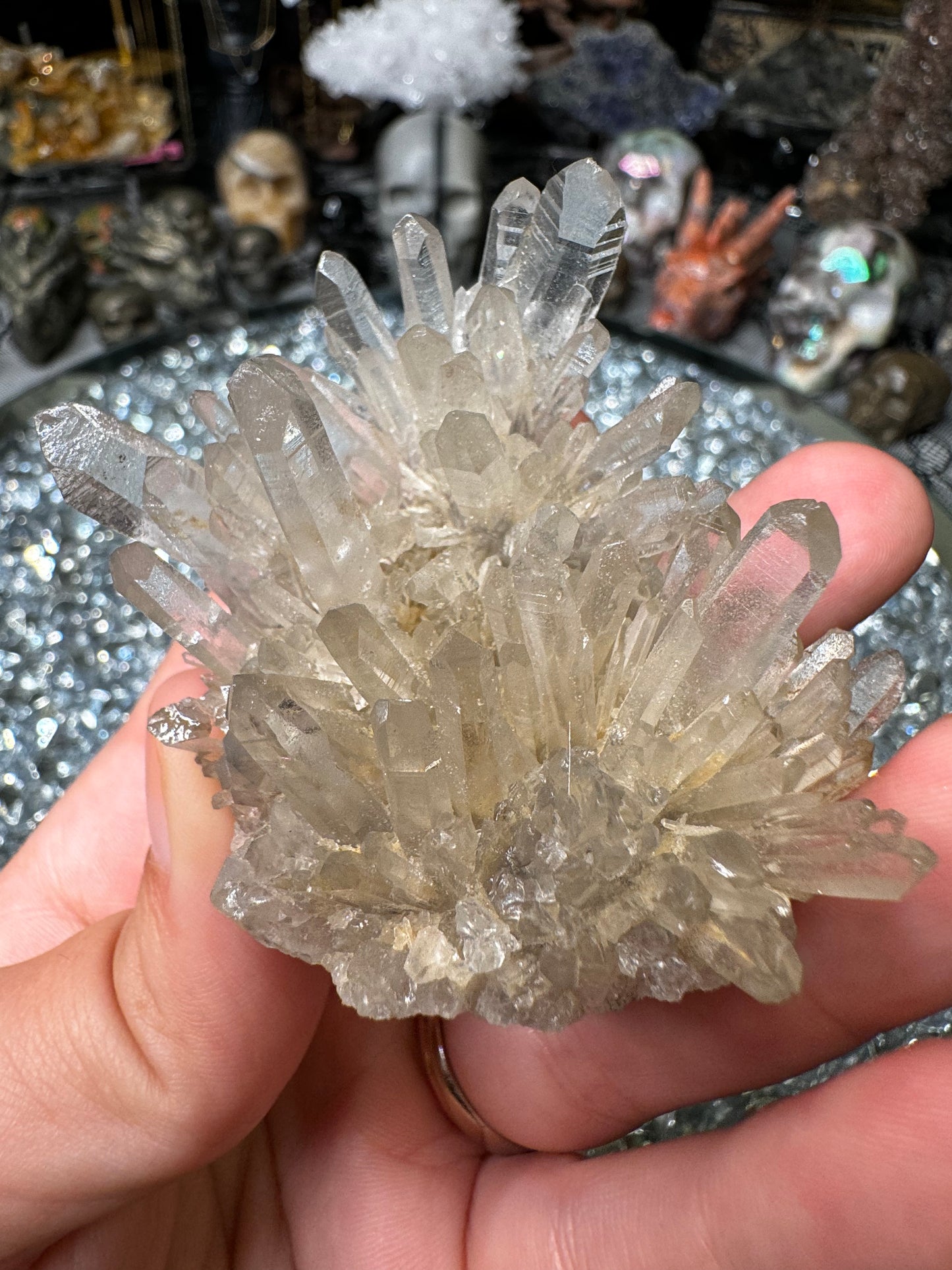 Quartz hedgegog