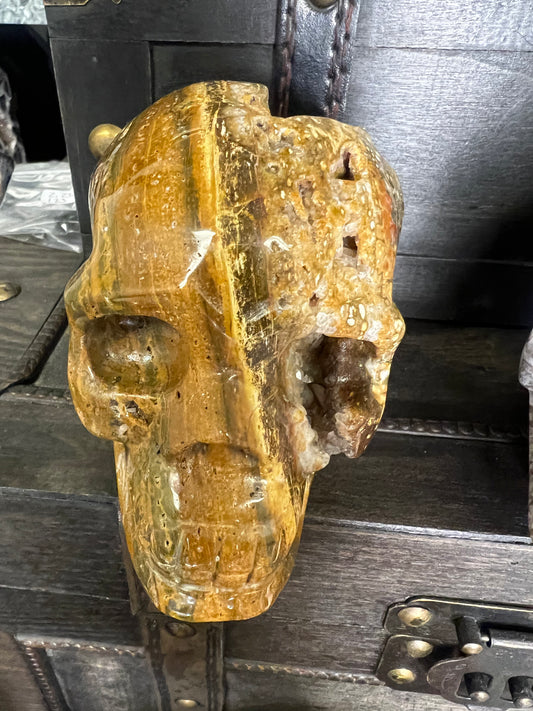 ocean jasper skull